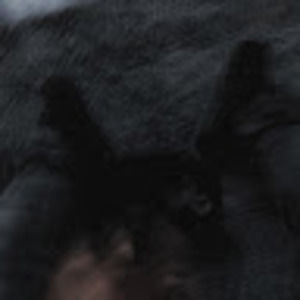 Meet your Posher, Jonathon